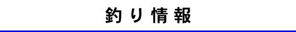 釣り情報